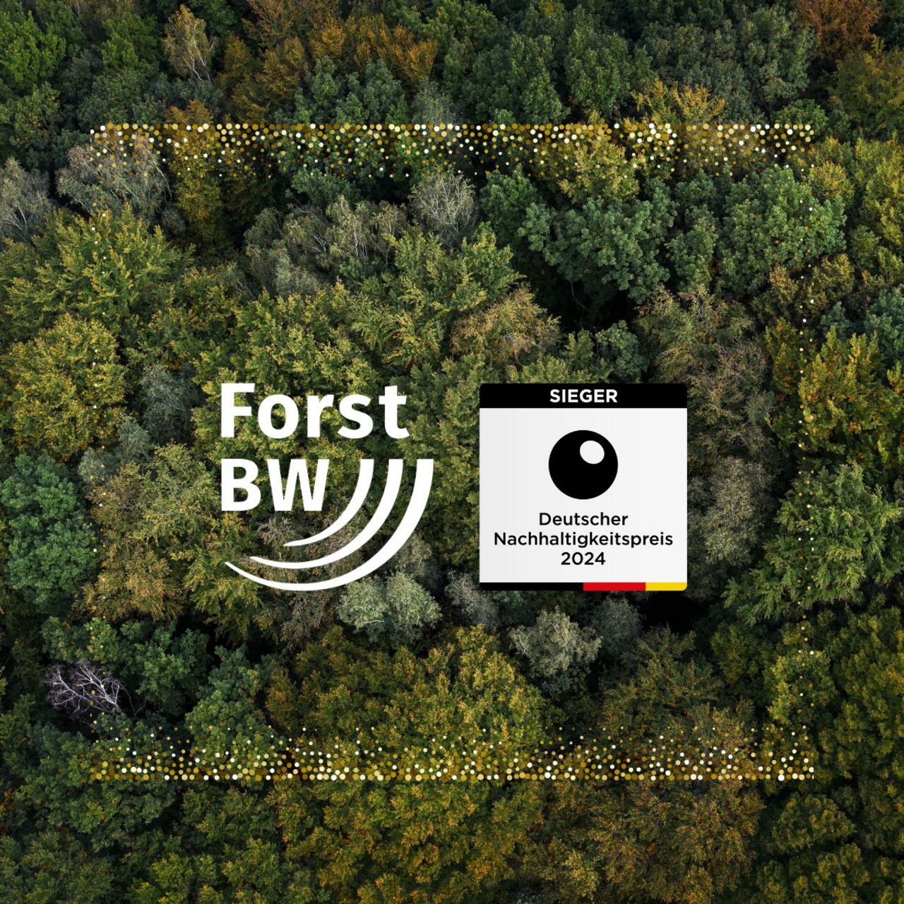 Logo von ForstBW und DNP mit Wald im Hintergrund