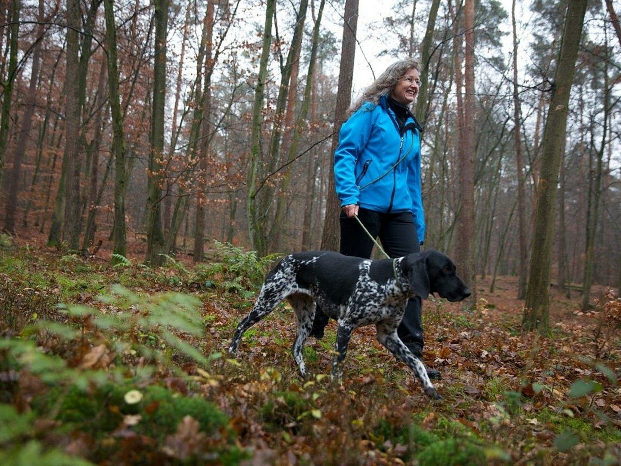 Spaziergängerin in Funktionskleidung läuft gemeinsam mit einem Hund an der Leine durch den Wald.
