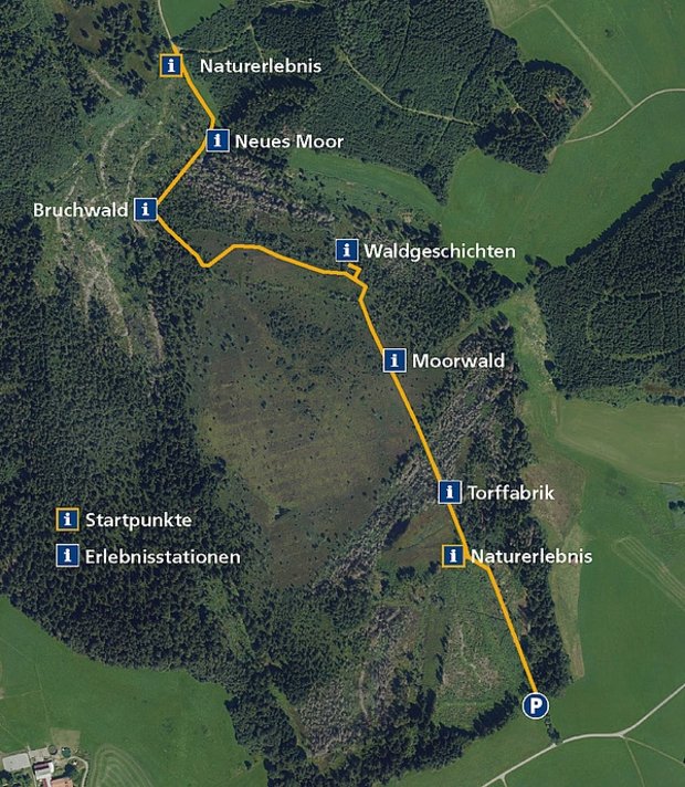 Satellitenkarte des Arrisrieder Moos mit eingezeichnetem Moorlehrpfad und Parkplatz.